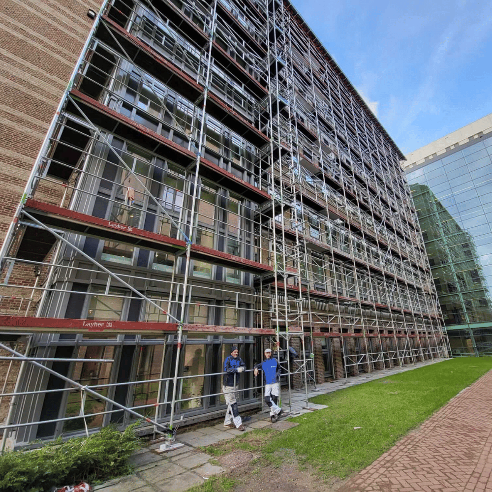 renovlies nijmegen